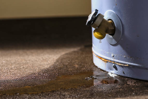 Best Sewage cleanup and water damage restoration  in Inglenook, CT