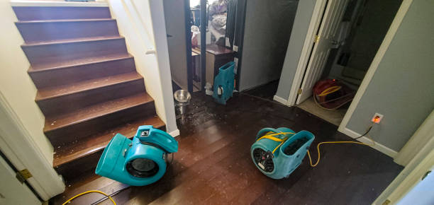 Best Flooded house restoration  in Inglenook, CT