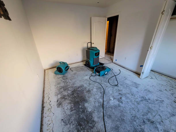 Best Local water damage restoration  in Inglenook, CT
