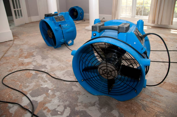 Best Water damage repair service  in Inglenook, CT