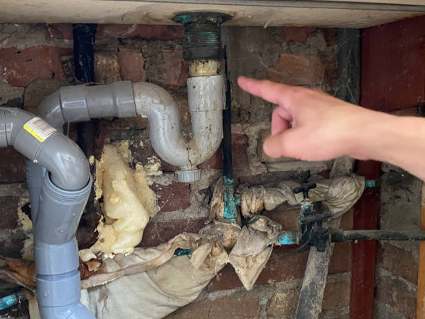 Best Water damage restoration near me  in Inglenook, CT