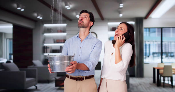 Best Water damage cleanup near me  in Inglenook, CT