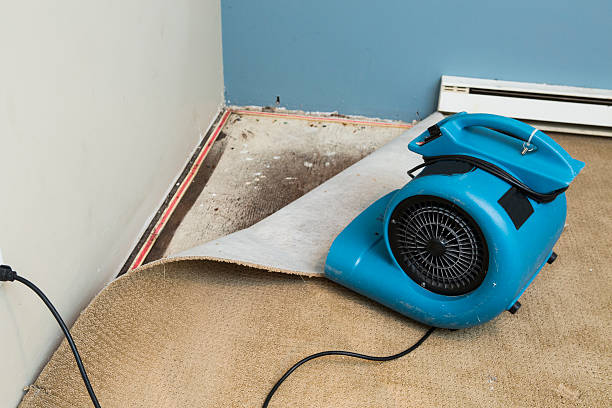 Best Water damage contractors near me  in Inglenook, CT